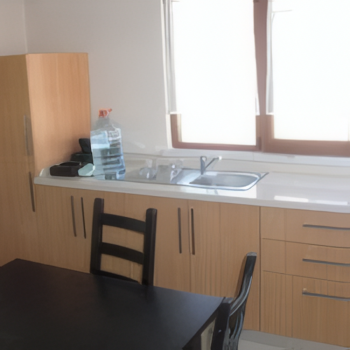 Engin Hanım Yıldız