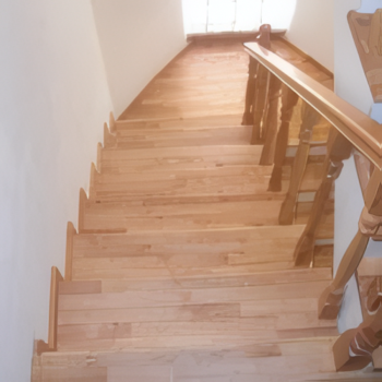 Engin Hanım Yıldız