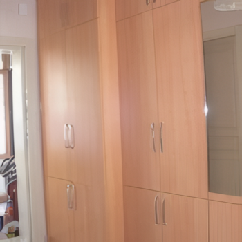 Engin Hanım Yıldız